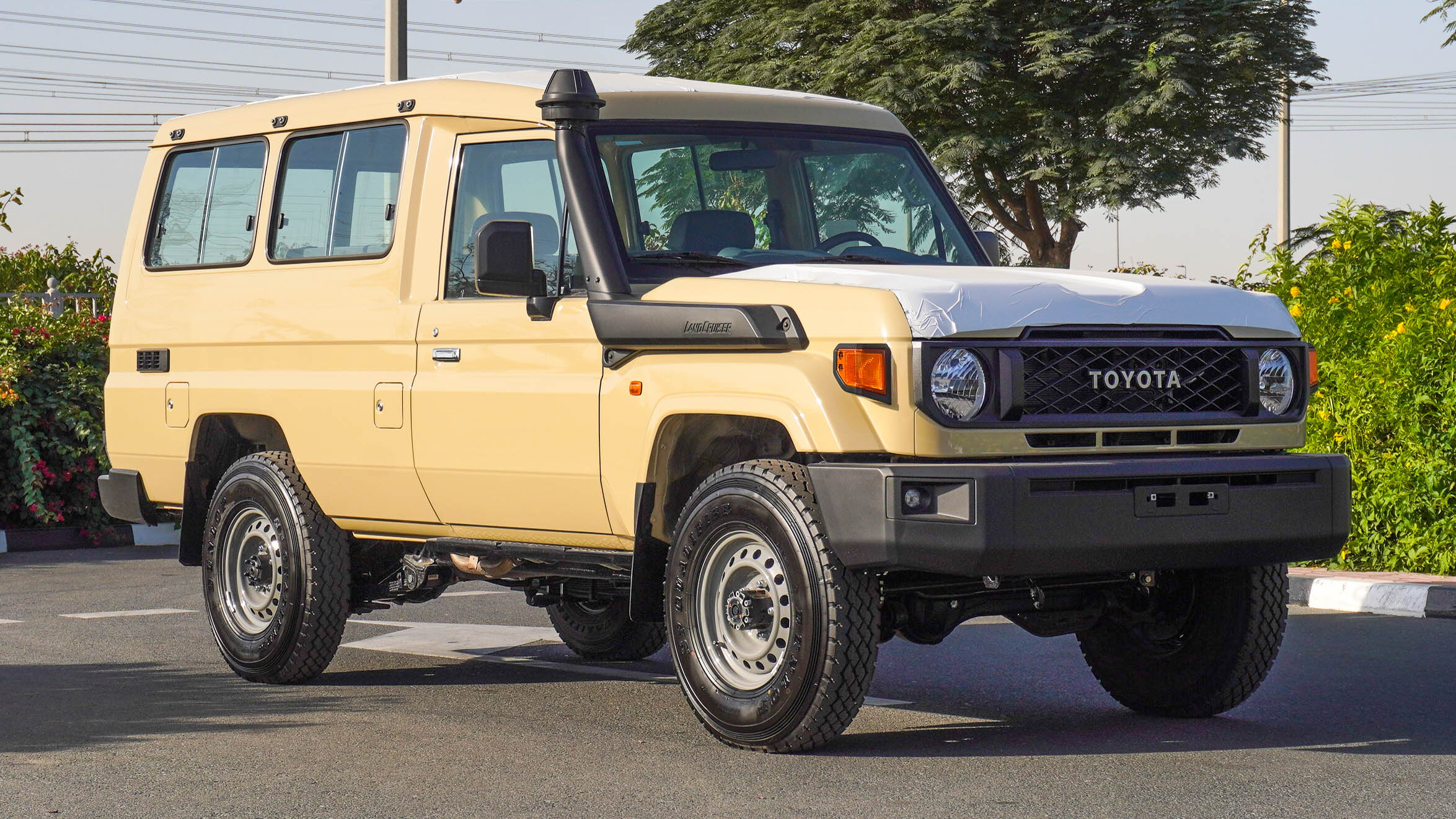 popular_cars